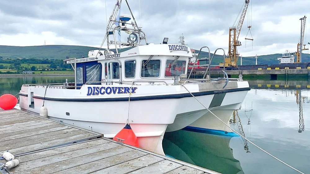 Carlingford Lough Sea Tours and Boat Trips: See the Village from the Water
